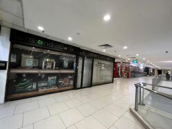 Lucky Plaza (D9), Shop House #496034481
